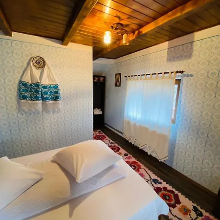 Guest house Floare De Maramures 1 Vadu Izei