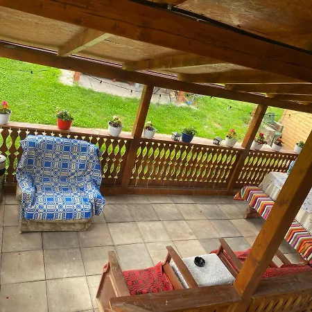 Guest house Floare De Maramures 1