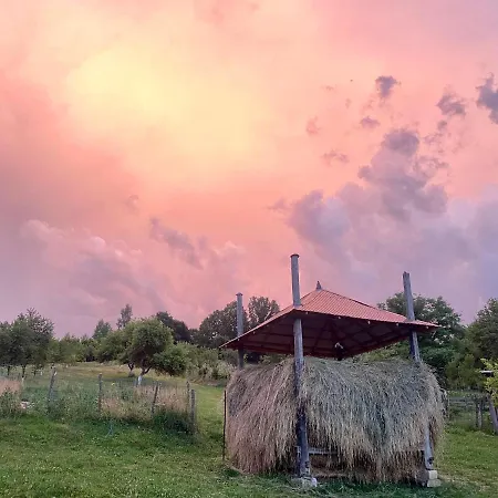 Floare De Maramures 1 Guest house 3*