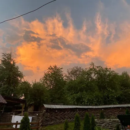 Floare De Maramures 1 Guest house