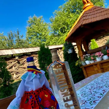 Guest house Floare De Maramures 1 3*