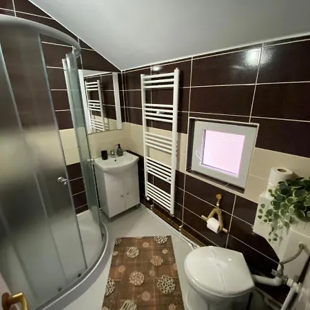 Floare De Maramures 1 Guest house 3*