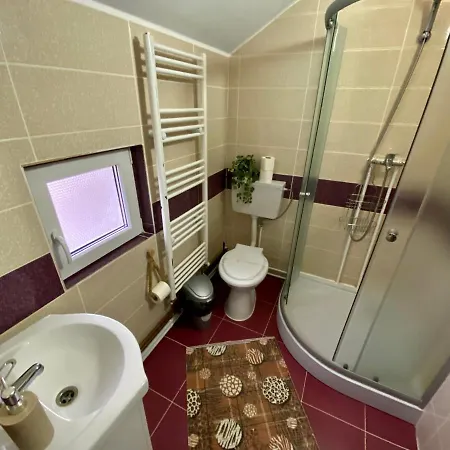 Guest house Floare De Maramures 1 3*