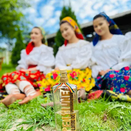 Floare De Maramures 1 3* Vadu Izei