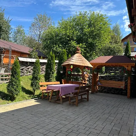 Guest house Floare De Maramures 1 3*